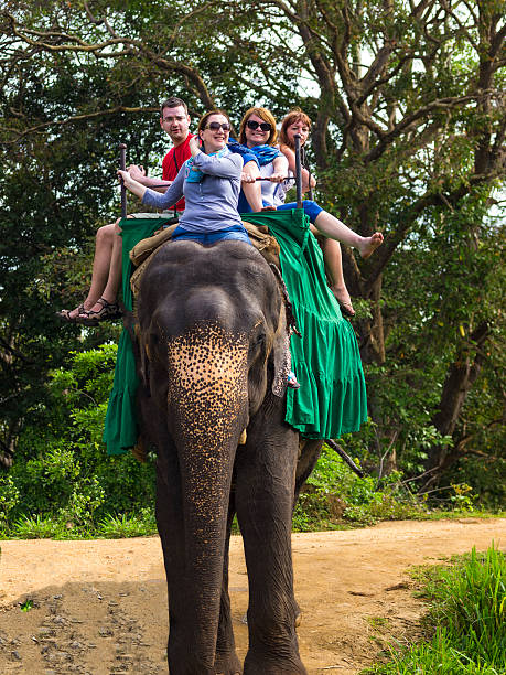 istock Elephant back ride near Habarana in Sri Lanka 488689358