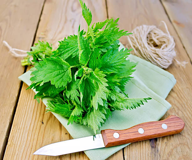 istock Nettle with napkin and twine on board 488689831