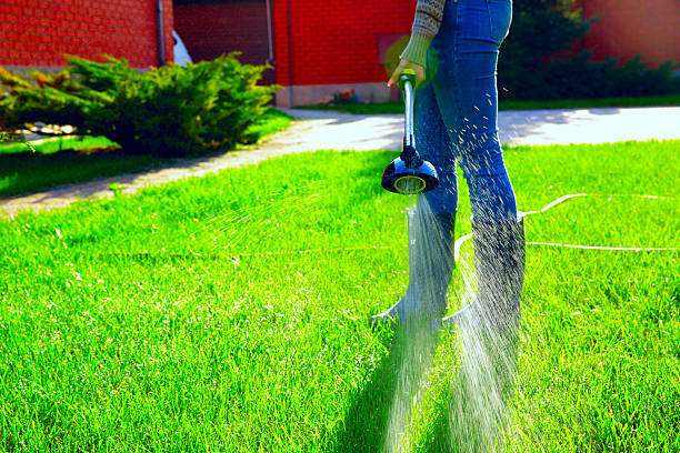 istock Woman is watering grass 488690423