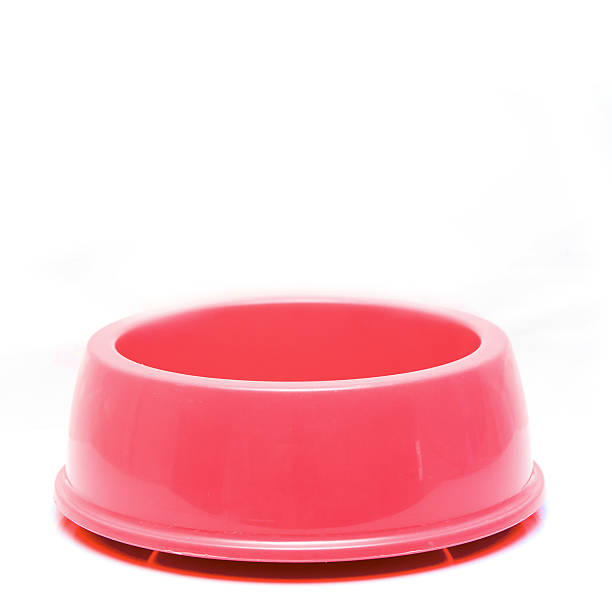 istock pink Pet Bowl Isolated on White Background. 488691107