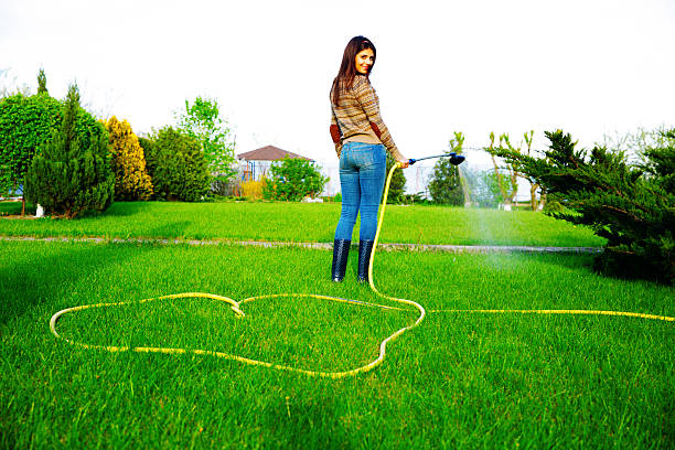 istock smiling woman is watering grass 488692191