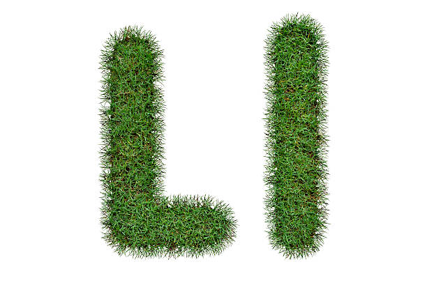 istock Grass Letter L,l  isolated on white background 488692310