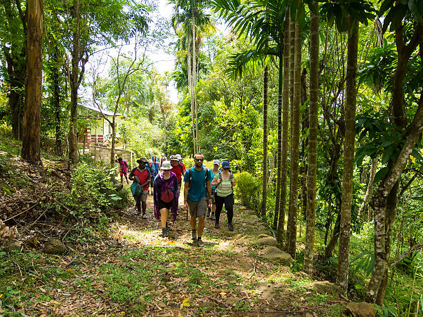 istock Sri Lanka trekking in the forest 488693118