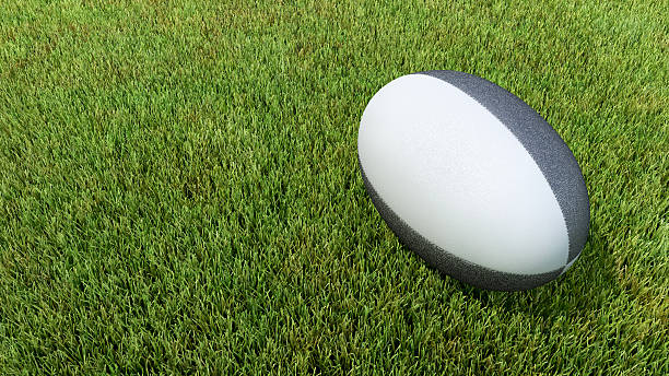 istock Black rugby ball on grass V01 488693304
