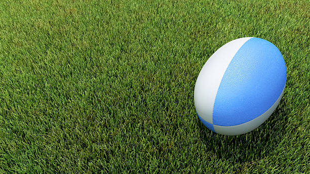 istock Blue rugby ball on grass V02 488693416