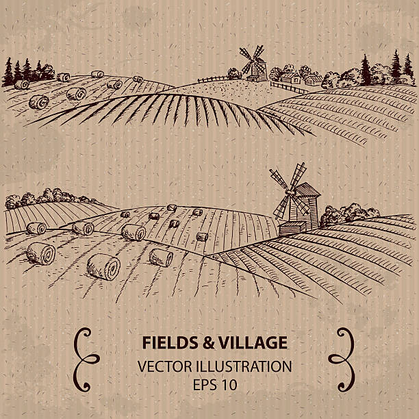 ilustraciones, imágenes clip art, dibujos animados e iconos de stock de los campos de trigo con haystacks y molino de viento. - field landscape