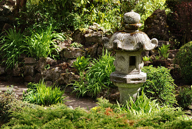 jardim japonês - footpath tree japan stepping stone - fotografias e filmes do acervo