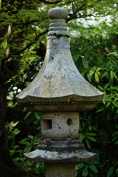 jardim japonês - footpath tree japan stepping stone - fotografias e filmes do acervo