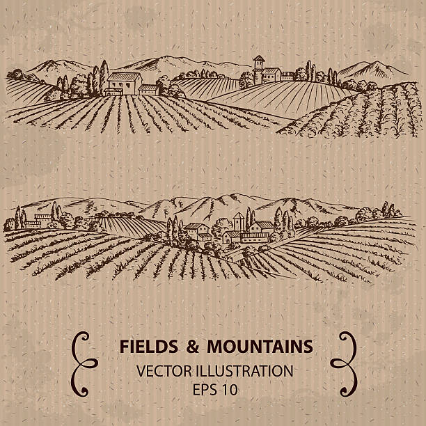 ilustraciones, imágenes clip art, dibujos animados e iconos de stock de paisaje de toscana con los campos y a las montañas. - engraving pattern engraved image striped