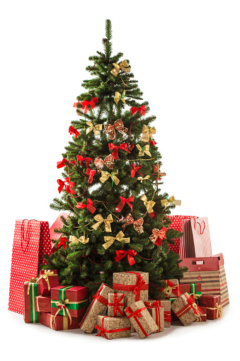 Christmas ball with red bow hanging on Christmas tree branch isolated on white background.