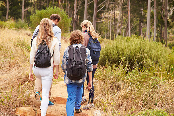 istock Family walking on a trail into a forest, back view 488711994