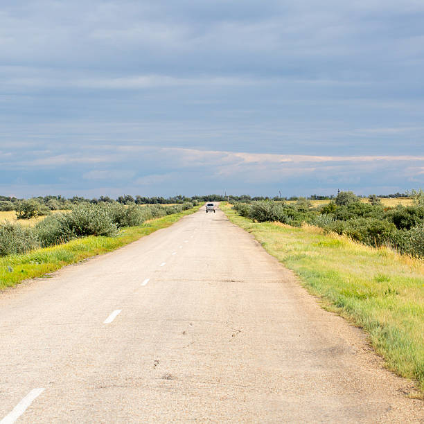 istock Yellow grass in the steppe and blue sky 488717950