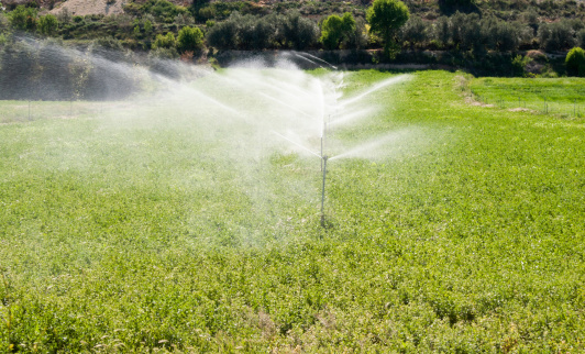 Spanish Irrigation