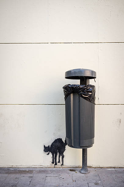 Valencia, Spain - October 25, 2011: A subtle example of street art with a stencilled cat in an alarmed state painted onto a wall by a public litter bin.