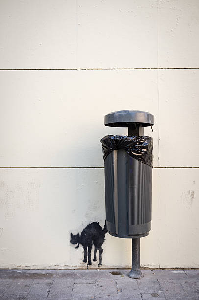feral street art Valencia, Spain - October 25, 2011: A subtle example of street art with a stencilled cat in an alarmed state painted onto a wall by a public litter bin. banksy stock pictures, royalty-free photos & images
