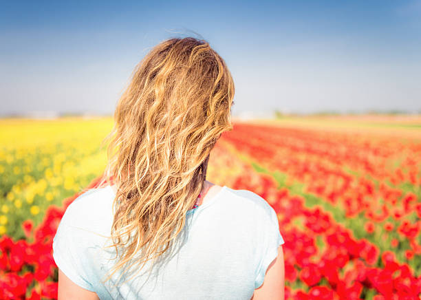 guardando oltre tulipani - rear view women back back of head foto e immagini stock