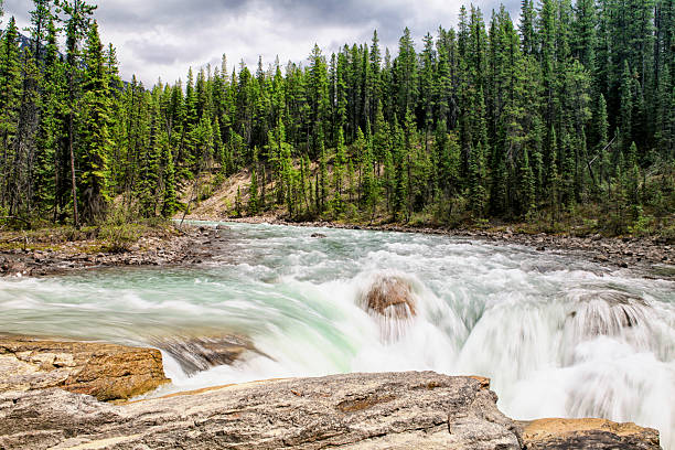 istock Athabasca Falls in Jasper National Park, Canada 488721915