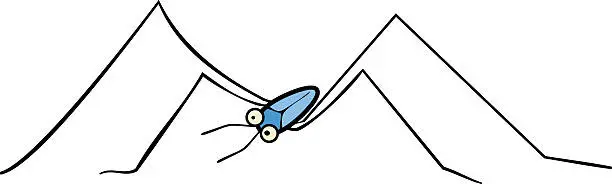 Vector illustration of water strider on white background