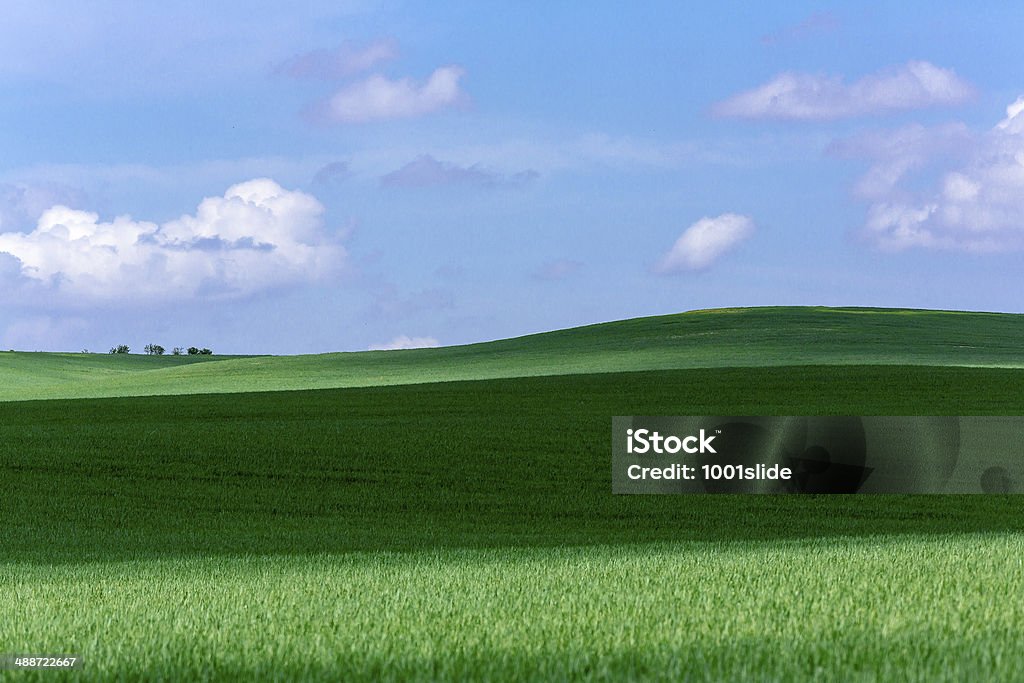 Nuvem sombra em campos verdes - Foto de stock de Agricultura royalty-free