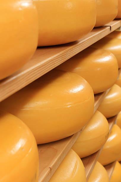 istock cheeses on the shelves at a dairy farm 488723043