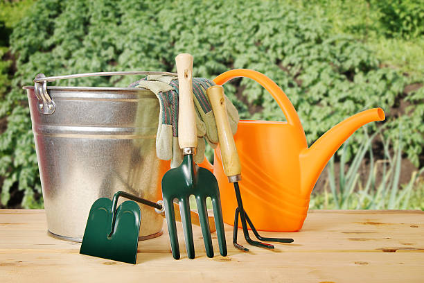 istock Gardening still life with various tools against green plantation 488725943