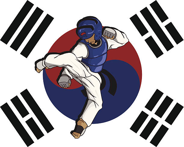 ilustraciones, imágenes clip art, dibujos animados e iconos de stock de taekwondo.  arte marcial - kicking tae kwon do martial arts flying