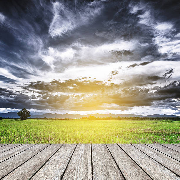 istock wood floor and storm clouds view before rainy 488755424