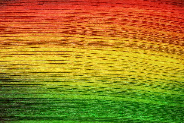 Green red yellow wood background (Reggae style)