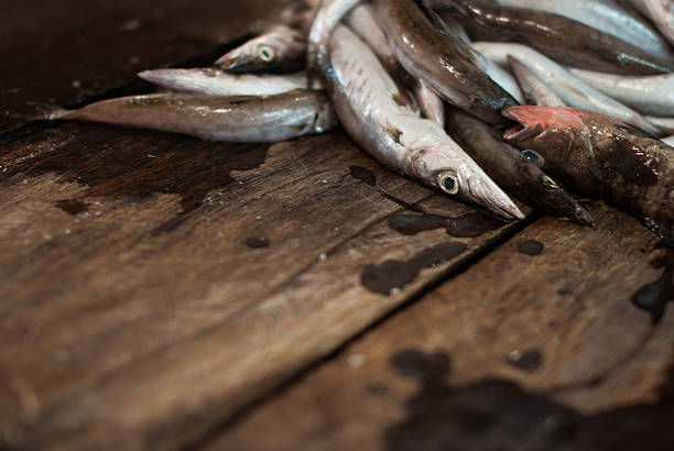 istock Fresh fish for fillet on a wooden board. 488759269