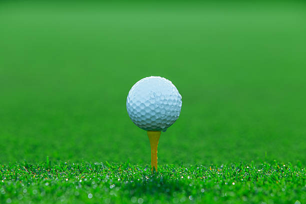istock Golf ball on tee on grass in the golf course 488759812
