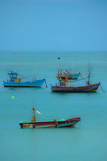 istock Fish boats at anchor 488763006