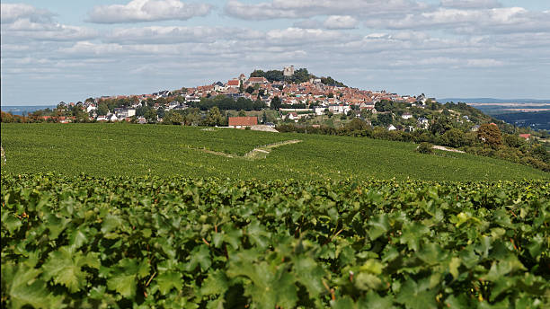view Sancerre the vineyards of the Loire valley, loire valley photos stock pictures, royalty-free photos & images