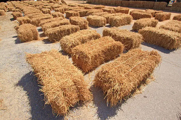 seat on straw