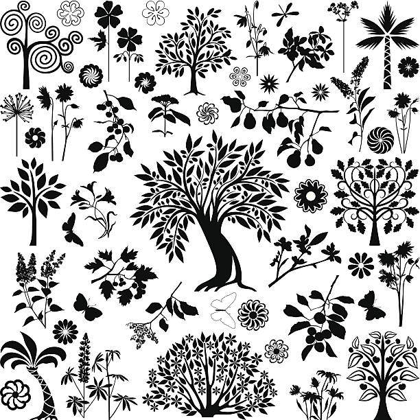 ilustrações de stock, clip art, desenhos animados e ícones de árvores e plantas - hawthorn flower single flower spring