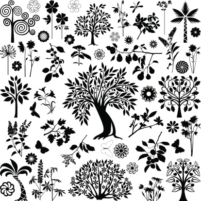 Collection of decorative trees, plants and flowers 