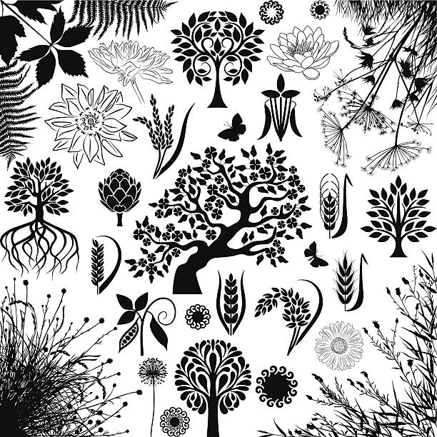 illustrations, cliparts, dessins animés et icônes de arbres et de plantes - hawthorn flower spring single flower