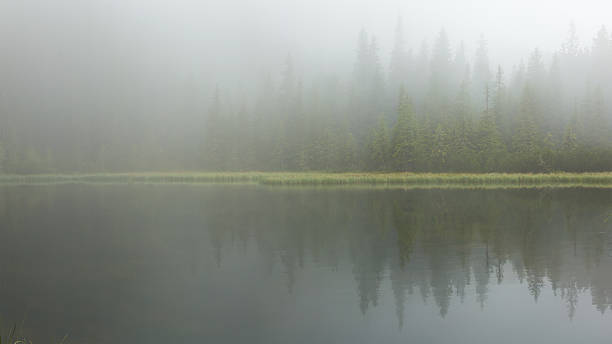 istock The lake in the fog 488785554