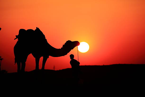 istock Silhouette of a man and camel 488786281