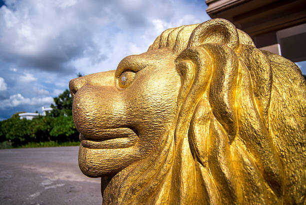 Chinese Golden lion