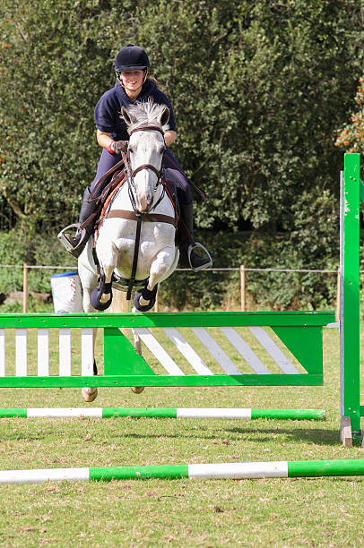 istock Horse jumping a jump in an Equestrian competition 488787640
