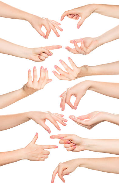 istock Collage of woman hands on white backgrounds 488787960