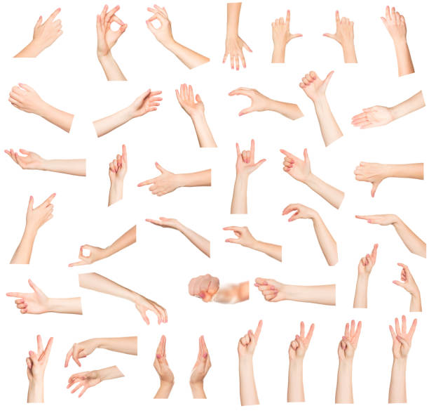 Collage of woman hands on white backgrounds Collage of woman hands on white backgrounds hand gestures stock pictures, royalty-free photos & images