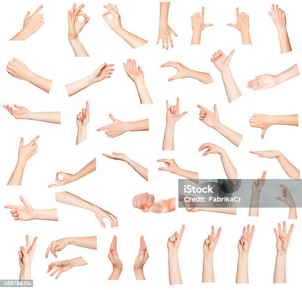 Collage Of Woman Hands On White Backgrounds Stock Photo - Download Image Now - Women, White Background, Cut Out