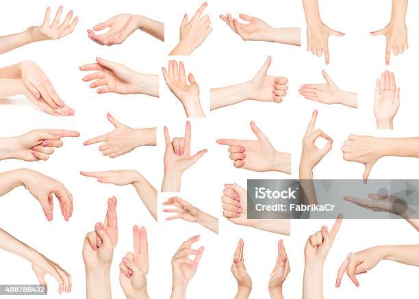 Collage Of Woman Hands On White Backgrounds Stock Photo - Download Image Now - Pushing, 2015, Adult
