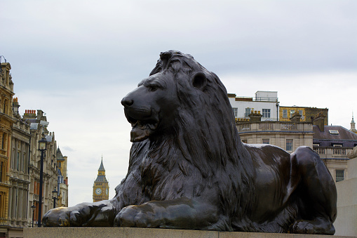 London, United Kingdom. Shot of one of the iconic London lions next to Big Ben. 