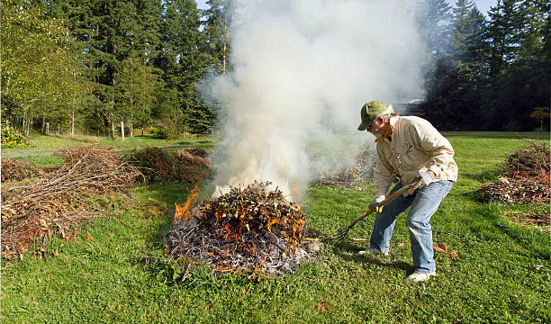 Man feeds an outdoor garden brush burn