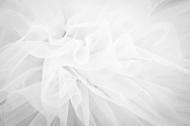 красивая изящная фоне сетки пушистая ткань, черный и белый - veil стоковые фото и изображения