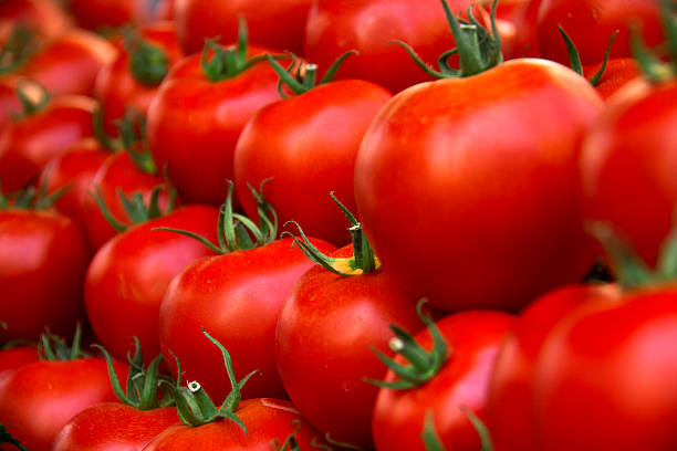 istock Tomato, Large Group of Objects, Bunch, Market, Freshness 488793644