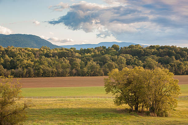 istock Beautiful meadow in late summer sun 488794056