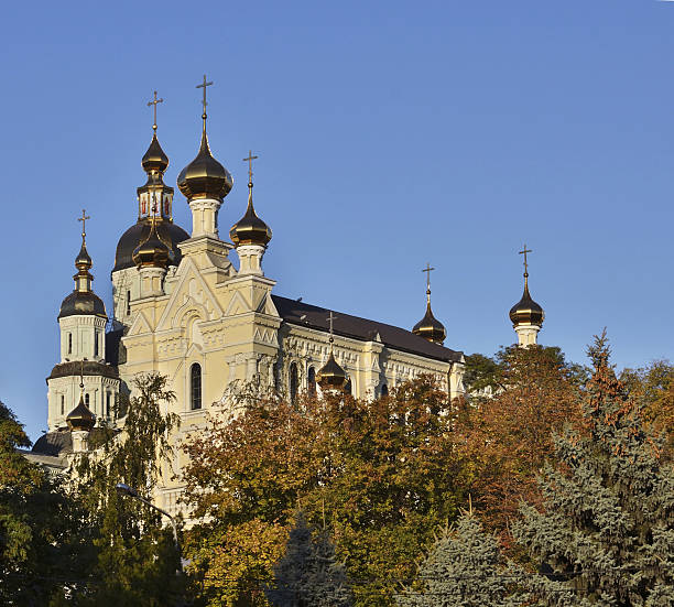 istock Cathedral of the Holy Virgin 488795464